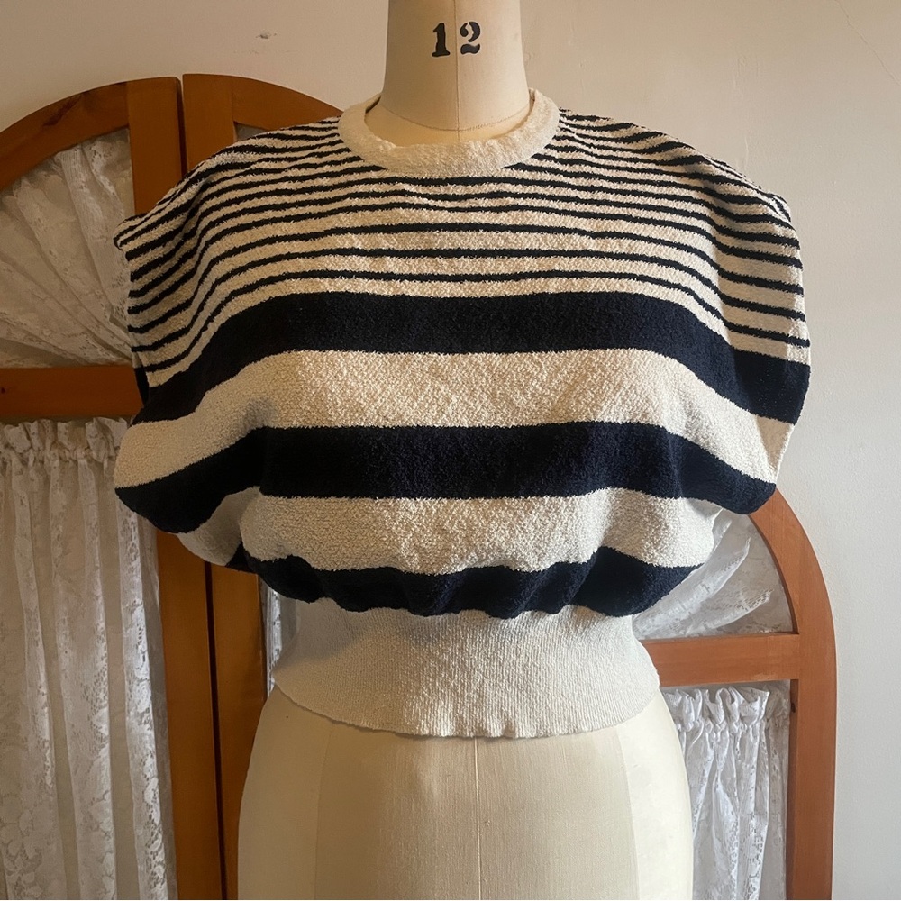 Zara Striped Knit Crop Blouse